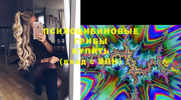 индика Волосово