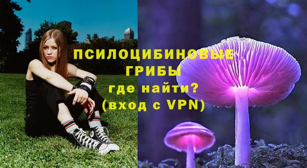 индика Волосово
