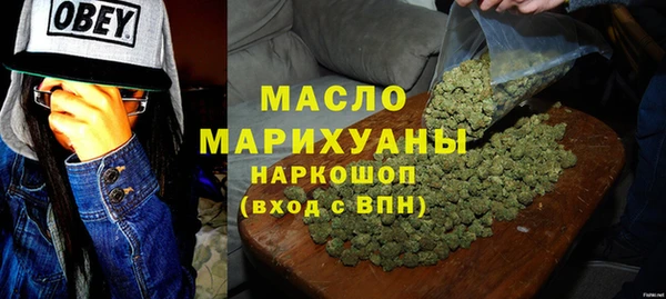 индика Волосово