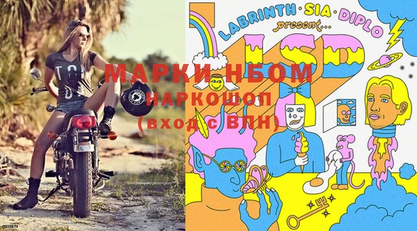 индика Волосово