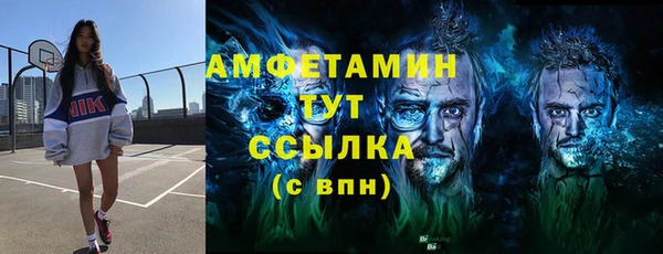 индика Волосово