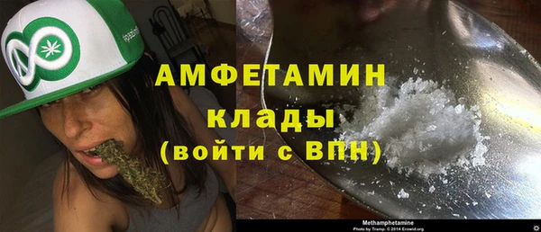 индика Волосово
