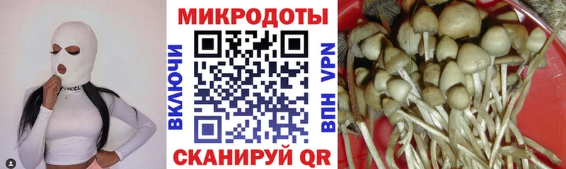 где продают наркотики  Заволжье  MEGA сайт  Псилоцибиновые грибы прущие грибы 